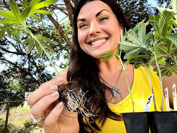 marijuana clones ohio customer