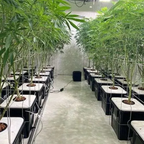 stamford mother room