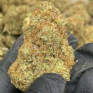 Wholesale THCp Flower Pounds | Order Today!