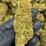 Wholesale THCp Flower Pounds | Order Today!